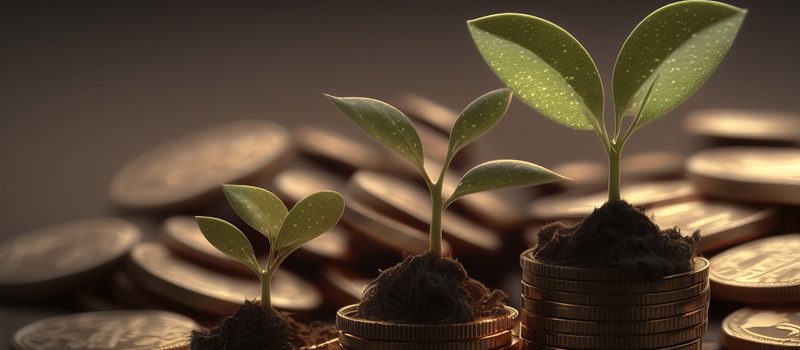 Muda de plantas em cima de moedas Muda de plantas em cima de moedas